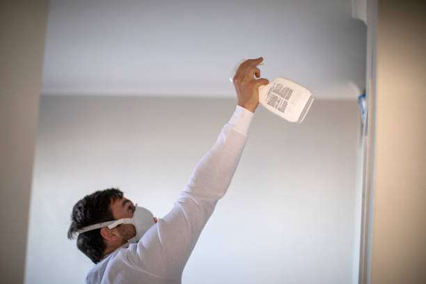 Best Black Mold Removal  in Lake Village, AR