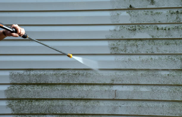 Best Fast Mold Removal  in Lake Village, AR